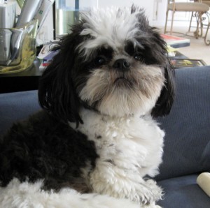petey